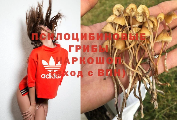 Альфа ПВП Алексеевка