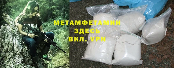 прущие грибы Медногорск